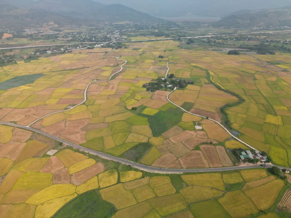 Kho gạo các loại